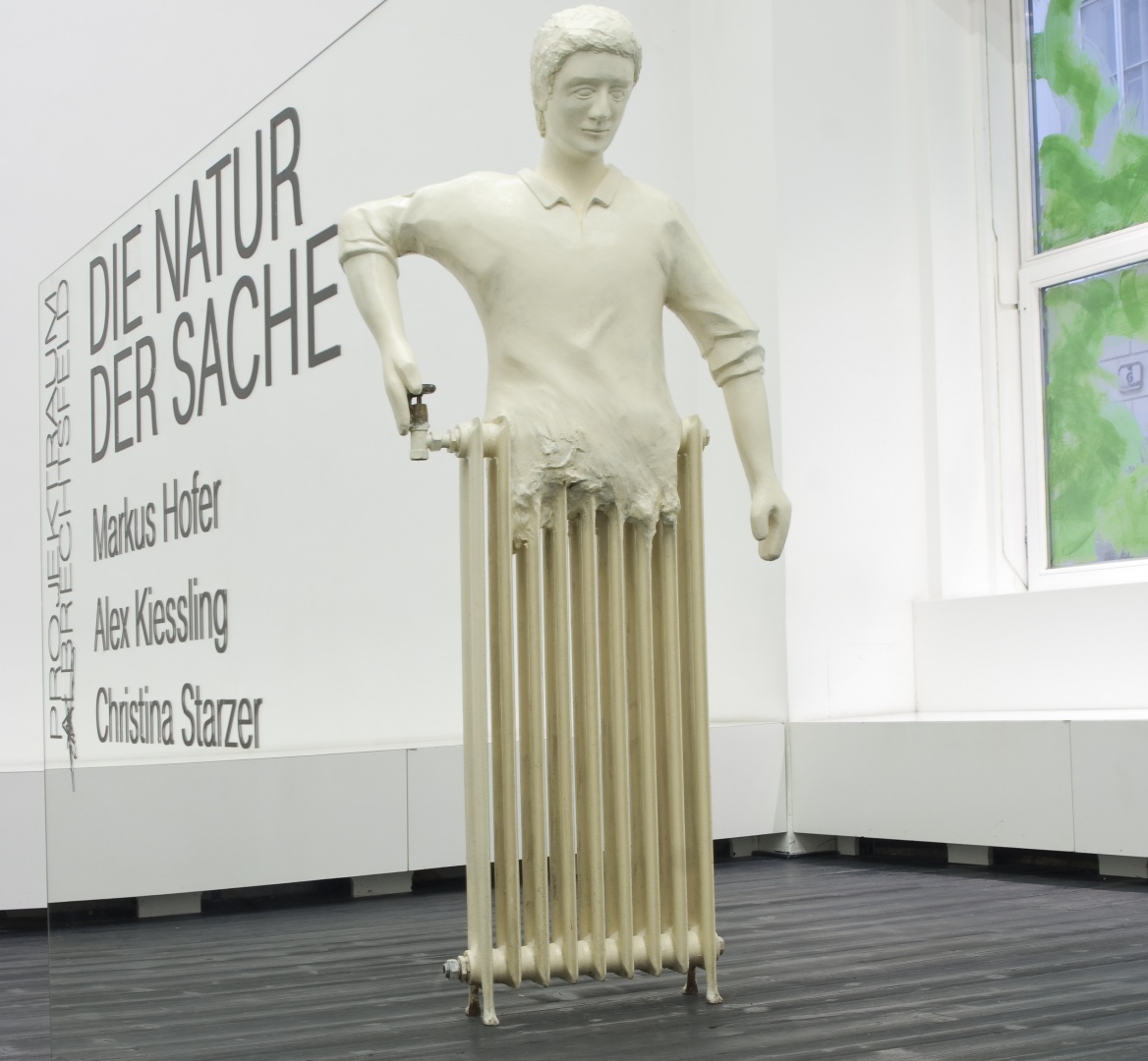 Ausstellungsansicht "Die Natur der Sache" Ausstellungsansicht "Die Natur der Sache"
