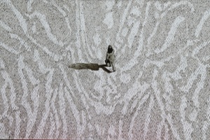 Terra Coleoptera 1 Acryl auf Leinwand 90x120cm GFK2016